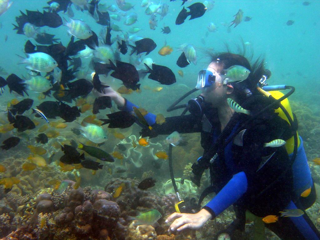 Paradise Island Park & Beach Resort Samal Bagian luar foto